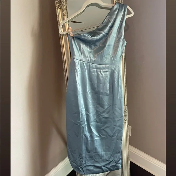 NWT Rosedress - Picture 3 of 5